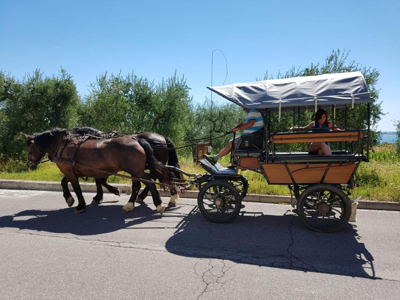 Lamasu Rioverde - Lago Di Garda San Felice del Benaco Exterior foto
